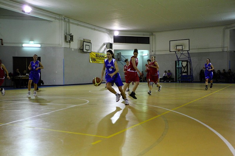 Basket 443017